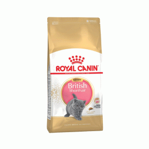 غذای خشک گربه کیتن بریتیش مو کوتاه رویال کنین royal canin kitten british short hair