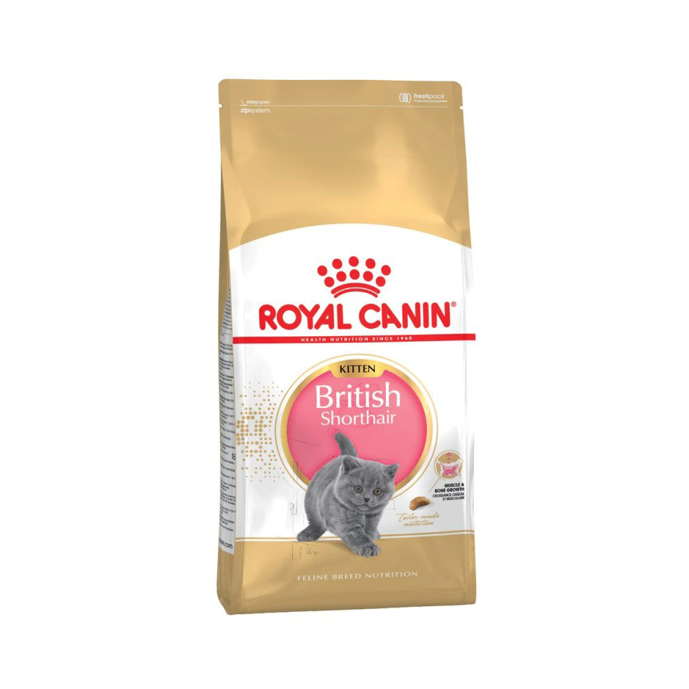 غذای خشک گربه کیتن بریتیش مو کوتاه رویال کنین royal canin kitten british short hair
