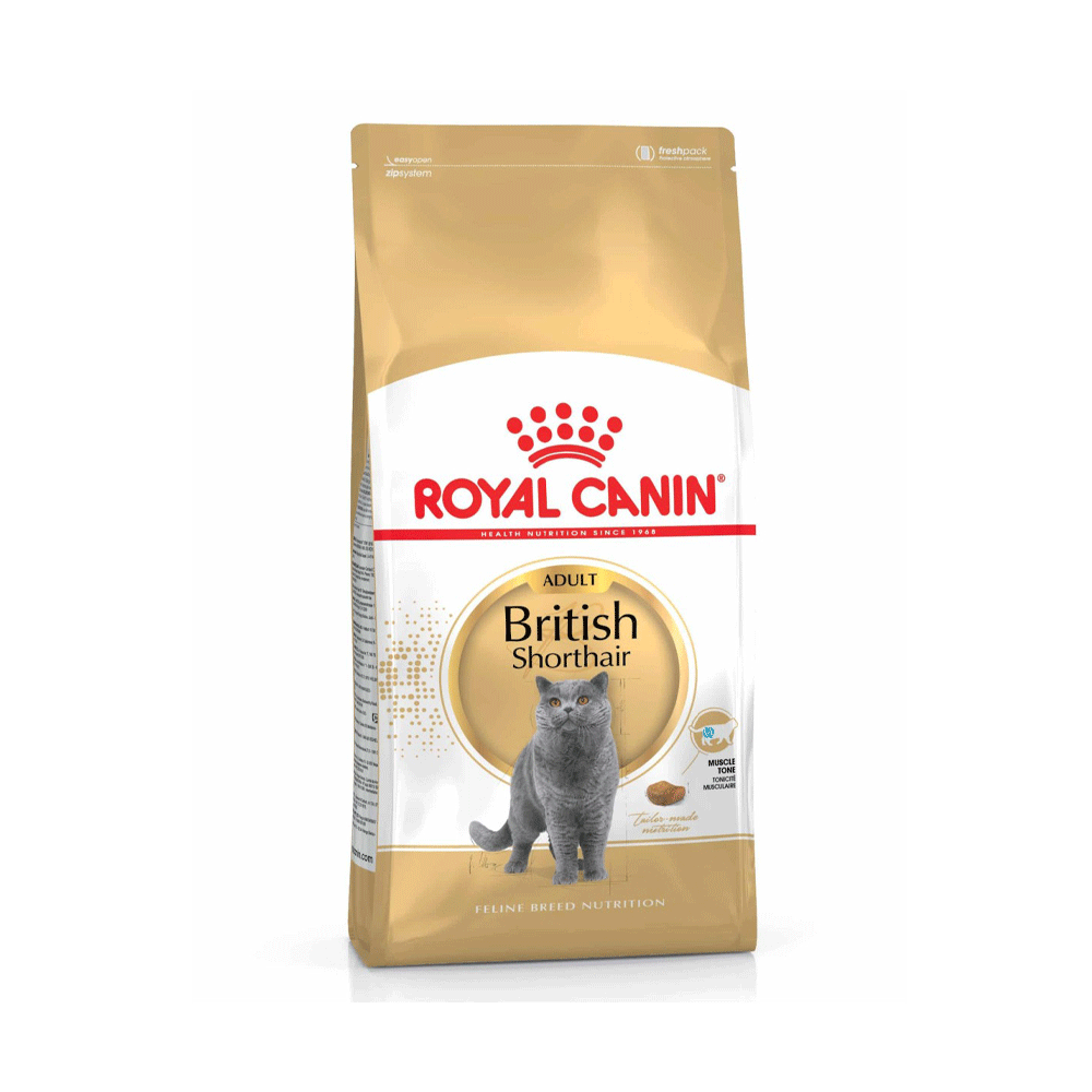 غذای خشک گربه بالغ بریتیش مو کوتاه رویال کنین royal canin british short hair