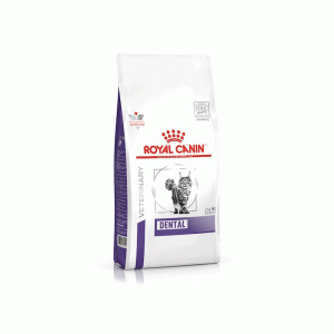 غذای خشک گربه رویال کنین دنتال royal canin dental