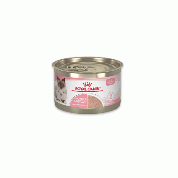 کنسرو گربه رویال مادر اند بیبی MOTHER & BABY ROYAL CANIN