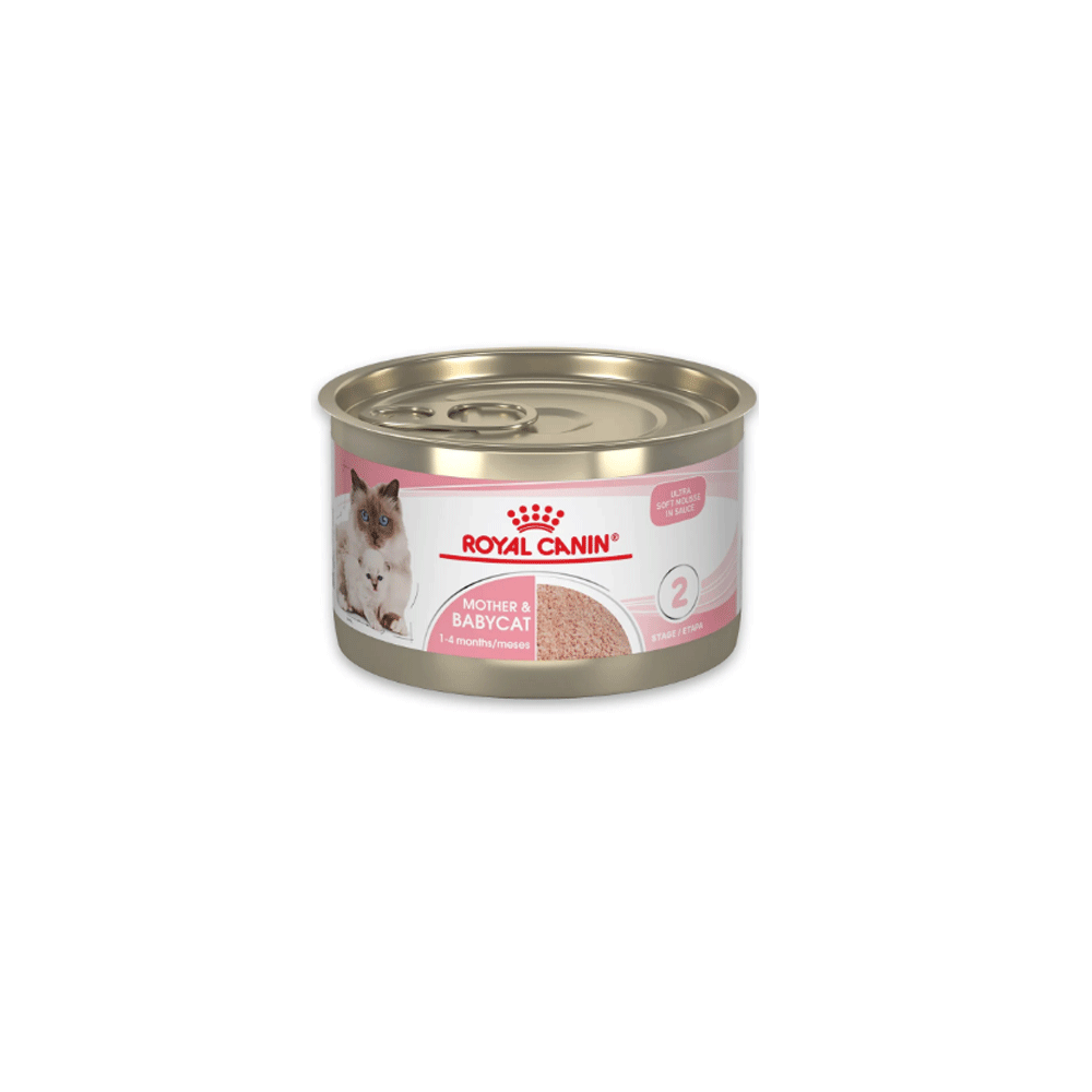 کنسرو گربه رویال مادر اند بیبی MOTHER & BABY ROYAL CANIN