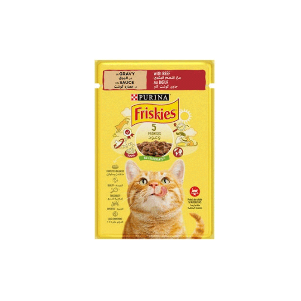 پوچ گربه فریسکیز گوشت friskies