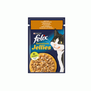 پوچ گربه فلیکس ژله ای بوقلمون felix