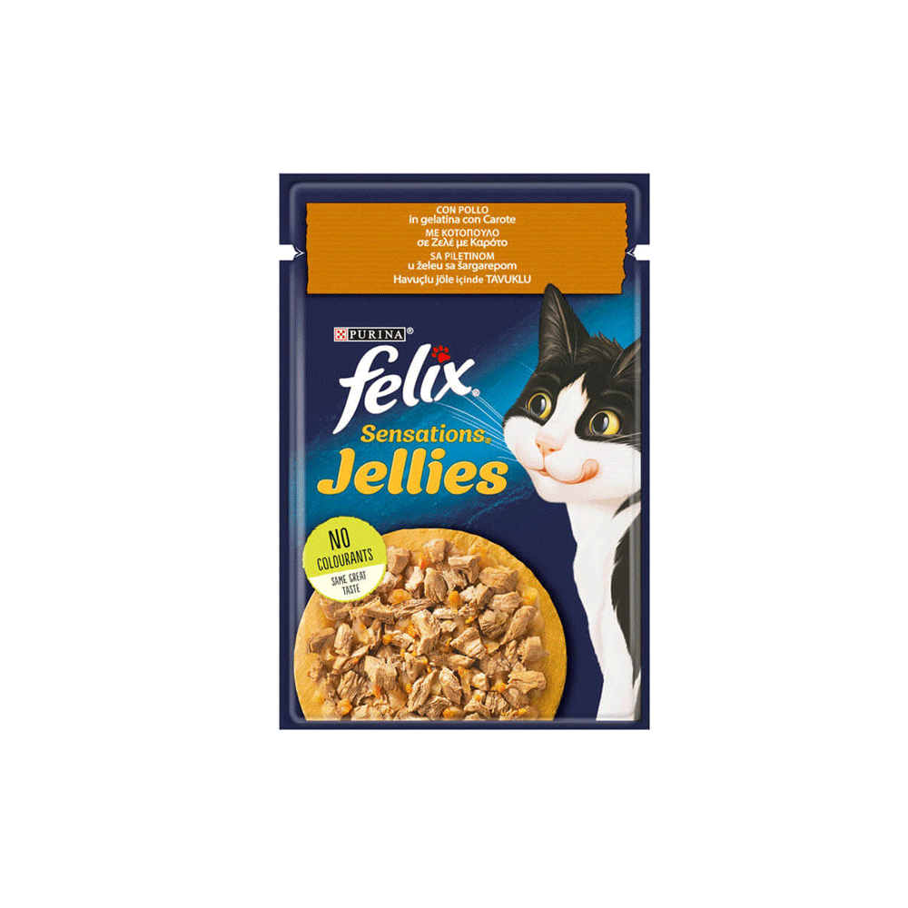 پوچ گربه فلیکس ژله ای بوقلمون felix