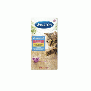 بستنی وینستون مرغ وماهی winston