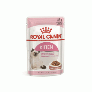 پوچ گربه رویال کنین کیتن royal canin kitten