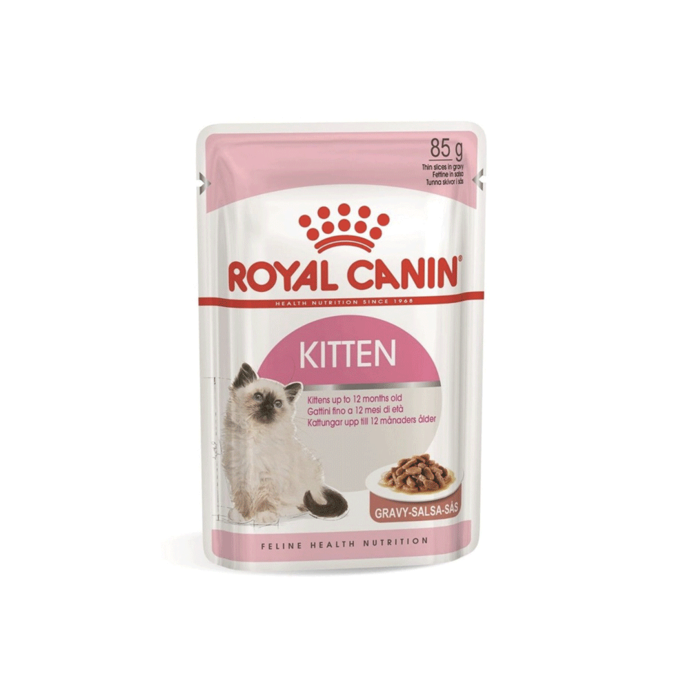 پوچ گربه رویال کنین کیتن royal canin kitten