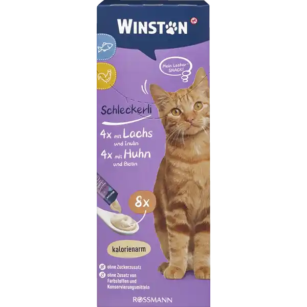 بستنی وینستون مرغ وماهی winston
