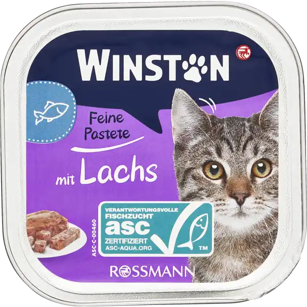 ووم گربه وینستون ماهیwinston