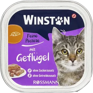ووم گربه وینستون مرغ winston