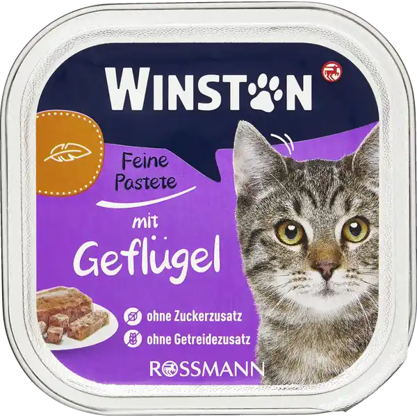 ووم گربه وینستون مرغ winston