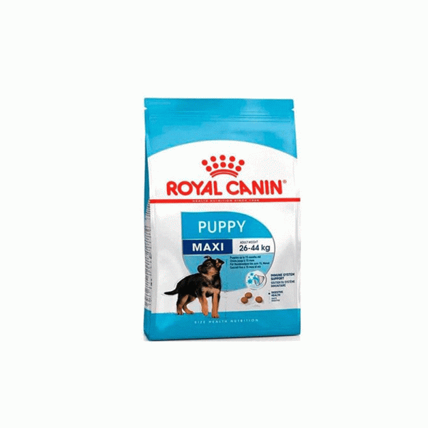 غذای خشک سگ مکسی پاپی رویال کنین royal canin maxi puppy