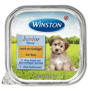 ووم توله سگ وینستون winston