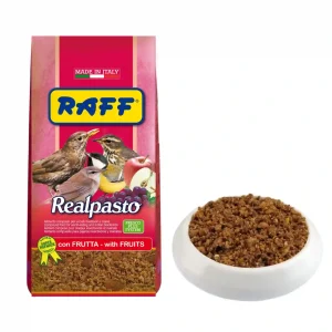 غذای پودری میوه و حشره مینا و پرندگان حشره خوار راف ایتالیا  raff realpasto