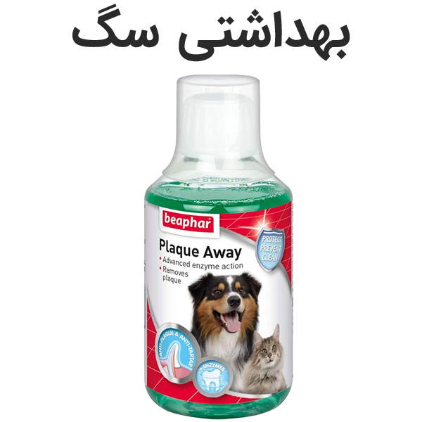 بهداشتی سگ
