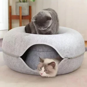 جا خواب دوناتی