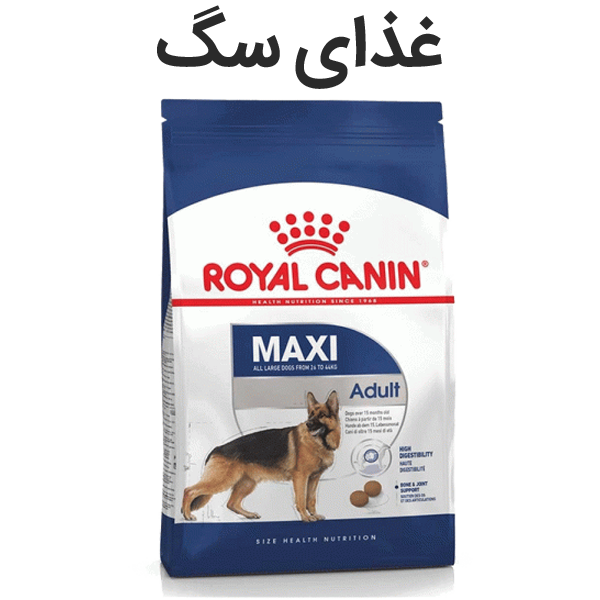 غذای سگ