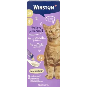 بستنی وینستون باطعم وانیل و مالت winston