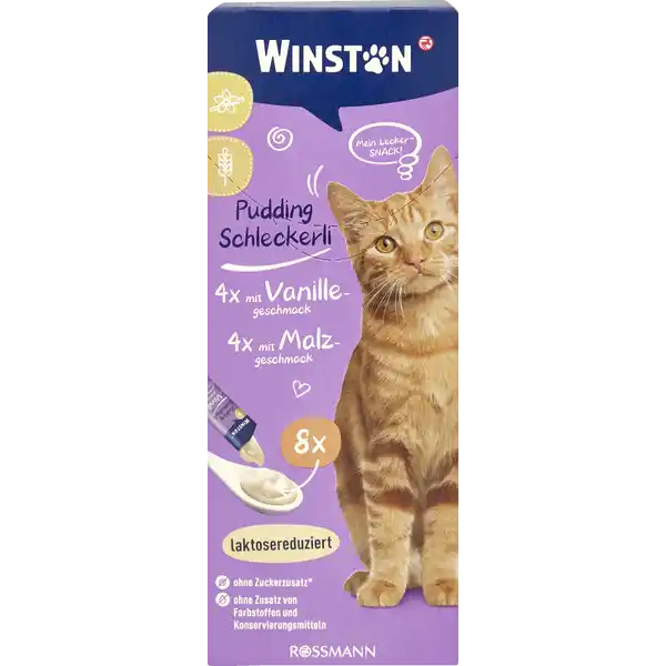 بستنی وینستون باطعم وانیل و مالت winston